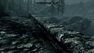 Skyrim special edition no time to chat !!!