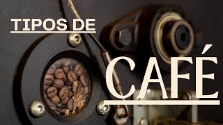 Entendendo os Tipos de Café Arábica: Bourbon, Catuaí e Mais! ☕️