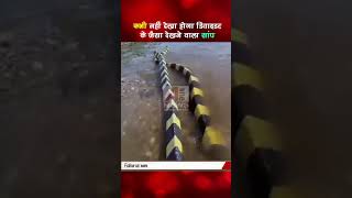 दूर से लगा सामने डिवाइडर है पास से देखा फटी आंखे #shorts #snake #aonenewstv