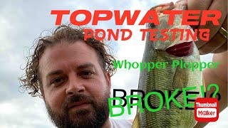 Testing Out That TOPWATER Bite #fishing #topwater #outdoor #subscribe