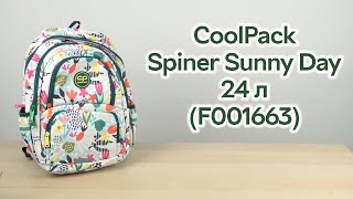 Розпаковка CoolPack з термокишенею Spiner Sunny Day 24 л 41x30x13 см (F001663)