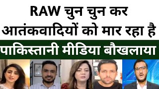 RAW चुन चुन कर आतंकवादियों को मार रहा है||Pakistan media on india||pak media on india||pak media