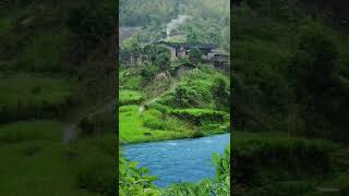 Nature view | China village houses, river |  Nature 4k videos | short video