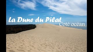 Visiter la Dune du Pilat en 2022 après l'incendie