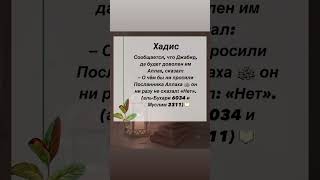 О чём бы ни просили Посланника Аллаха ﷺ, он ни разу не сказал: «Нет» #хадис #hadees #ислам #islam