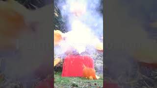 Pumpkin Explosion