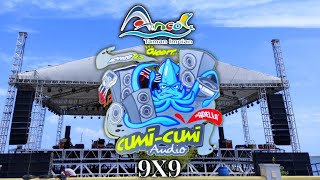 Cumi cumi audio 9X9 live Ancol,. Cuplikan sehabis masang sound