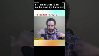 Fed By Ravens!!! Elijah Trusts God in the Wilderness! #shorts #god