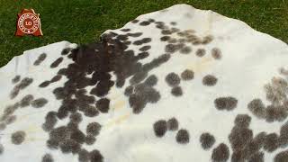 Salt and Pepper Natural Cowhide Hair on Leather (6 X 5 ft) Same As Picture