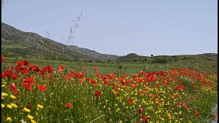 Εικόνες από τον Κάμπο της Ηούς