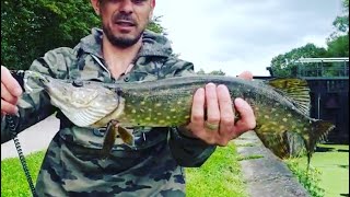 Pescaria com os amigos fishing for Pike and Perch England