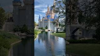 MAGICAL REFLECTIONS  - Best photo op in Magic Kingdom ​⁠@DisneyParks . #photography #disney #short