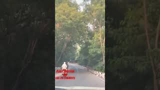 Tirupati to Tirumala Road #travel #hindutemple #tirupatitourism #trending #nature #shorts #subscribe