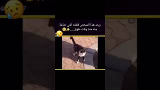 وجد هذا الشخص قطته التي ضاعة منه منذ وقت طويل...💥🥺