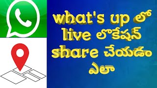 How to share live location and current location from what's up