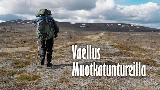 Vaellus Muotkatunturin erämaa-alueella, kesäkuu