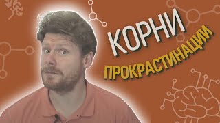 Корни прокрастинации