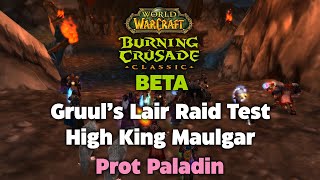 TBC Beta Gruul's Lair Raid Testing - High King Maulgar - Prot Paladin