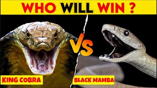 Who Will Win This Heart Breaking Fight🤯 | Snake video