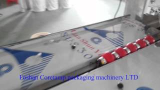 Horizontal plastic product packing machine