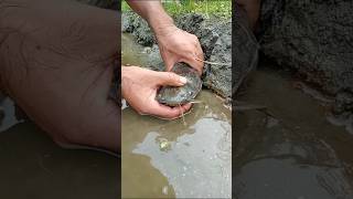 Asian fishing best fishing technique malayalam. , fishing rod, fishing, with Phann Phuy Camfish