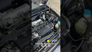 Engine Cleaning on Crx