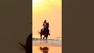 Beach horse riding Dubai #horse #equestrian #horselover #horseriding