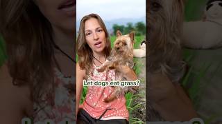 The SURPRISING reason why dogs eat grass. It’s NOT what you may think!