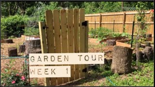 Garden Tour:  Week 1....The Garden Awakes !!