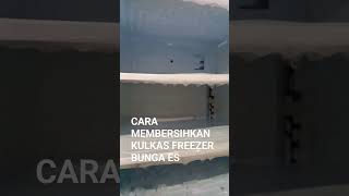 cara membersihkan kulkas freezer bunga es #cover #koplo #dangdutkoplo