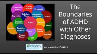 ADHD and Related Disorders - Boundaries for Diagnosis , ADHD in Adults