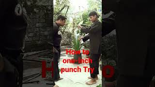 How to one inch-punch Try#kungfumaster