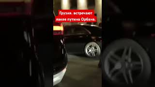 Грузия, встречают лакея путина Орбана. Приехал легитимизировать воровство