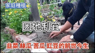 [家庭種植]11_2 韭菜 絲瓜 苦瓜 豇豆種植的前世今生