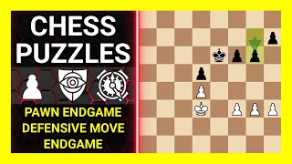 Chess Puzzles to Practice. Themes: Pawn endgame, Defensive move, Endgame. Learn Chess