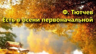 Стихотворение Ф.Тютчев " Есть в осени первоначальной"