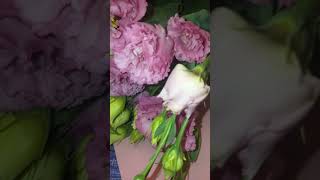 Լիզիանտուս  #lisianthus #лизиантусы                            24.07. 2023 թ.