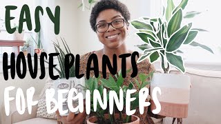 houseplants even YOU cant kill | EASY beginner houseplants