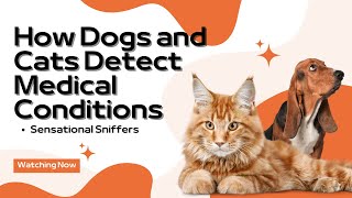 Sensational Sniffers: How Dogs and Cats Detect Medical Conditions in Humans