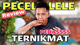 Review Pecel Lele Pok Rumi