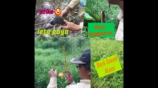 Mancing di rawa dapat ikan kecil dan burung rawa