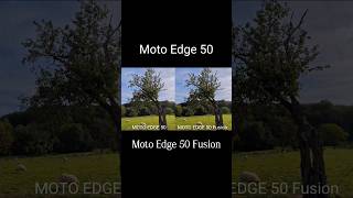 Camera Comparison #motorolaedge50 #motorolaedge50fusion