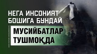 МУСИЙБАТЛАР КЕЛИШИ, БУНИ ЭШИТИШИНГИЗ КЕРАК!