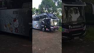 KYM trans Shantika Bus #Shorts