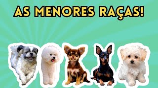 LISTA DAS 10 MENORES RAÇAS DE CÃES NO MUNDO!