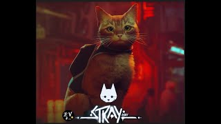 STRAY  the story of cat