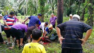 RAYA AIDILADHA #2018 #ALORSETANGGOK #KAMPONG #VIRAL #BANJAR