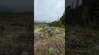 Sick Cut Line on Te Mounga - Rotorua