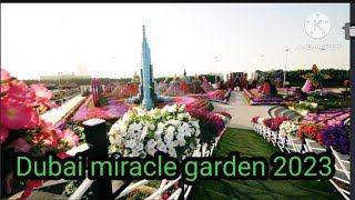 Miracle Garden Dubai  || The world's largest natural flower garden