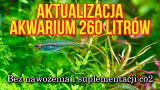 Czy można mieć piękne AKWARIUM roślinne bez co2 i nawozów?